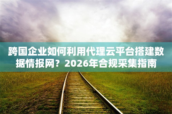 跨国企业如何利用代理云平台搭建数据情报网？2026年合规采集指南