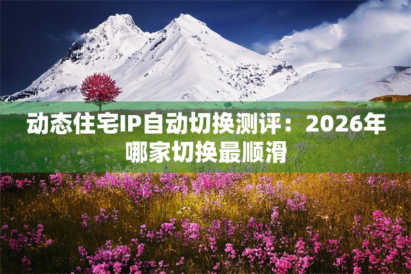 动态住宅IP自动切换测评：2026年哪家切换最顺滑