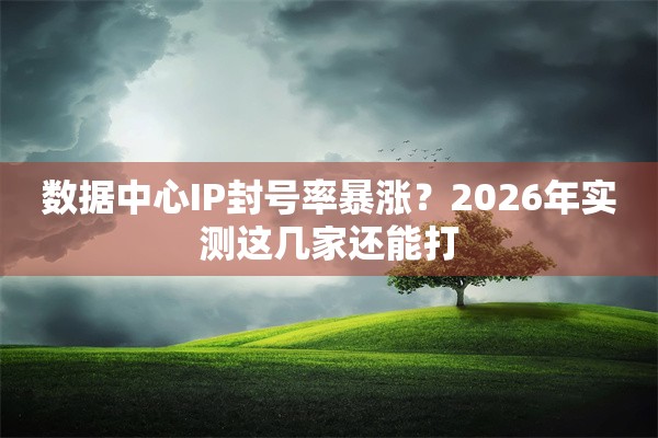 数据中心IP封号率暴涨?2026年实测这几家还能打