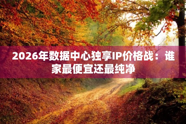 2026年数据中心独享IP价格战：谁家最便宜还最纯净
