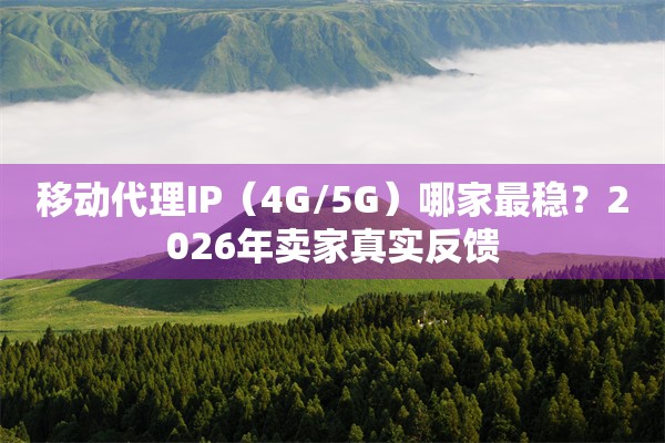 移动代理IP（4G/5G）哪家最稳？2026年卖家真实反馈