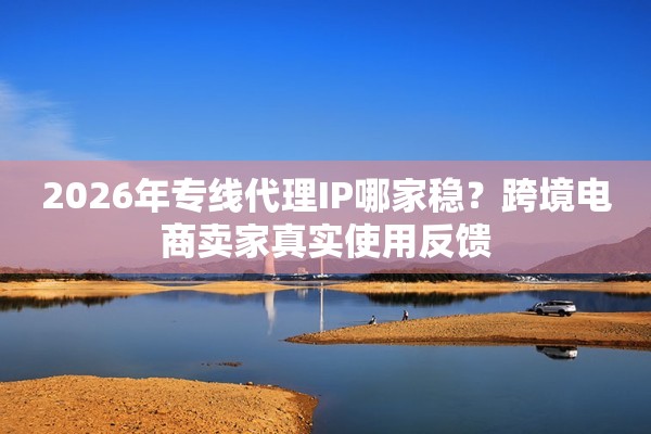 2026年专线代理IP哪家稳？跨境电商卖家真实使用反馈