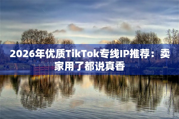 2026年优质TikTok专线IP推荐：卖家用了都说真香