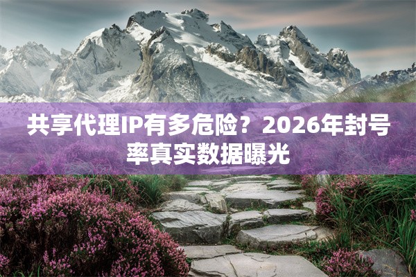 共享代理IP有多危险？2026年封号率真实数据曝光