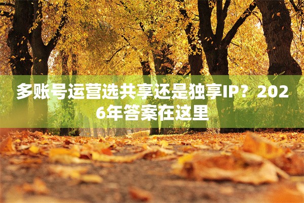 多账号运营选共享还是独享IP？2026年答案在这里