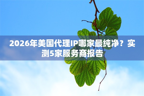 2026年美国代理IP哪家最纯净？实测5家服务商报告