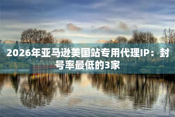 2026年亚马逊美国站专用代理IP：封号率最低的3家