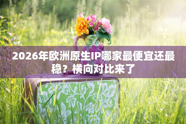 2026年欧洲原生IP哪家最便宜还最稳？横向对比来了