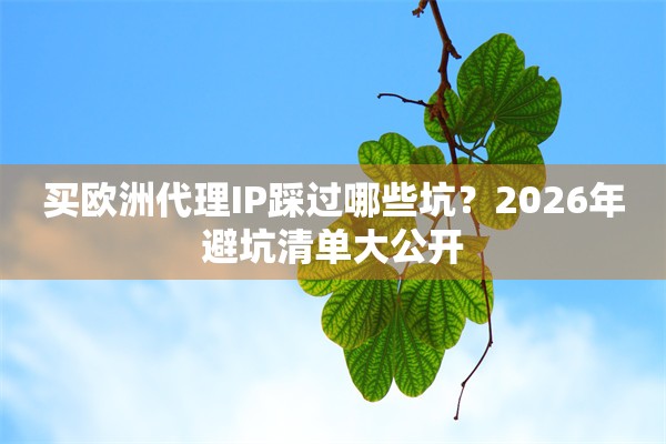 买欧洲代理IP踩过哪些坑？2026年避坑清单大公开