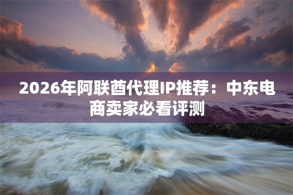2026年阿联酋代理IP推荐：中东电商卖家必看评测