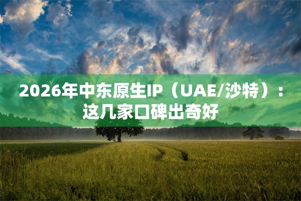 2026年中东原生IP（UAE/沙特）：这几家口碑出奇好