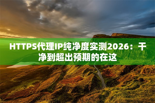 HTTPS代理IP纯净度实测2026：干净到超出预期的在这
