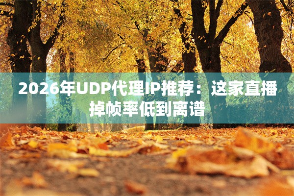 2026年UDP代理IP推荐：这家直播掉帧率低到离谱