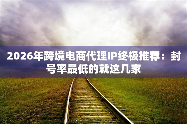 2026年跨境电商代理IP终极推荐:封号率最低的就这几家