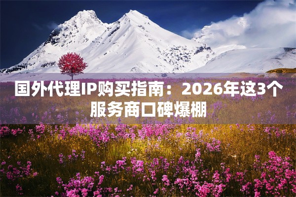 国外代理IP购买指南:2026年这3个服务商口碑爆棚