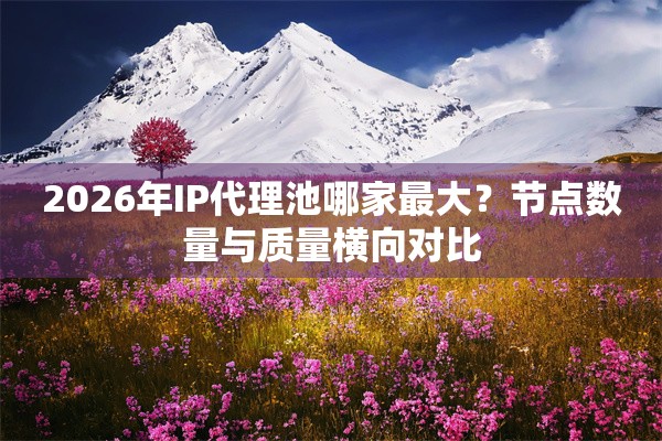 2026年IP代理池哪家最大?节点数量与质量横向对比