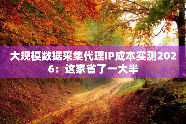 大规模数据采集代理IP成本实测2026：这家省了一大半