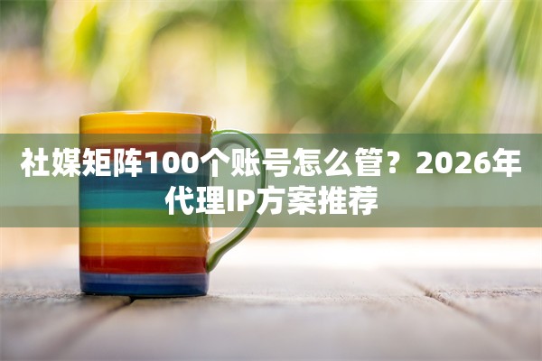 社媒矩阵100个账号怎么管？2026年代理IP方案推荐