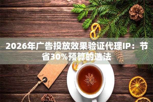 2026年广告投放效果验证代理IP:节省30%预算的选法