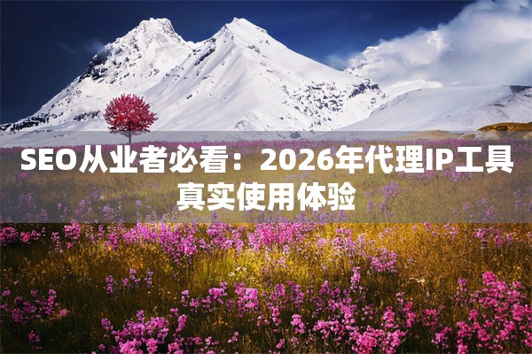 SEO从业者必看:2026年代理IP工具真实使用体验