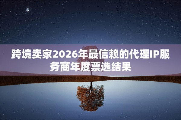 跨境卖家2026年最信赖的代理IP服务商年度票选结果