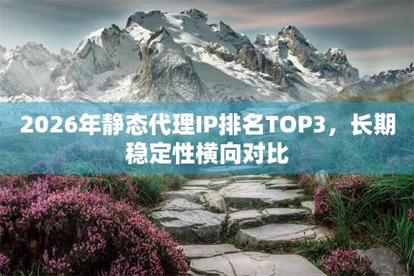 2026年静态代理IP排名TOP3，长期稳定性横向对比