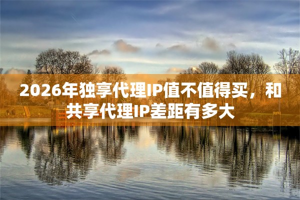 2026年独享代理IP值不值得买，和共享代理IP差距有多大