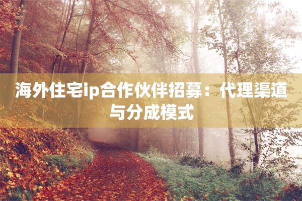 海外住宅ip合作伙伴招募:代理渠道与分成模式