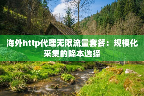 海外http代理无限流量套餐:规模化采集的降本选择
