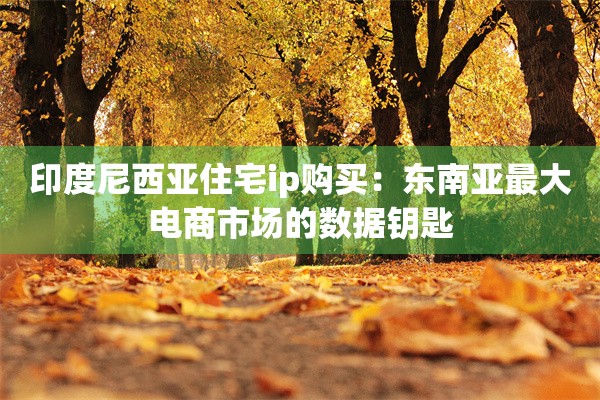 印度尼西亚住宅ip购买:东南亚最大电商市场的数据钥匙