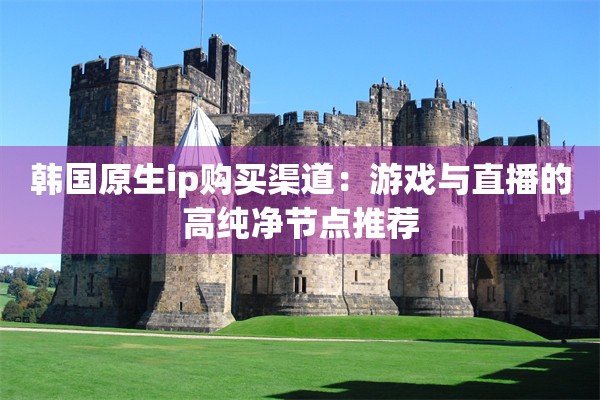 韩国原生ip购买渠道:游戏与直播的高纯净节点推荐