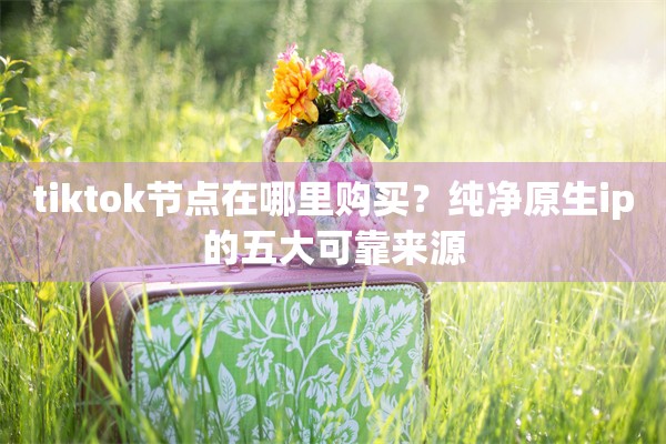 tiktok节点在哪里购买?纯净原生ip的五大可靠来源