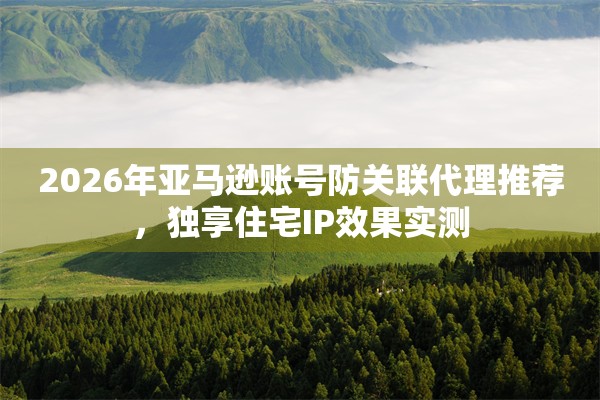 2026年亚马逊账号防关联代理推荐，独享住宅IP效果实测