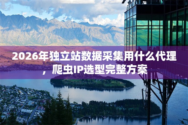 2026年独立站数据采集用什么代理，爬虫IP选型完整方案