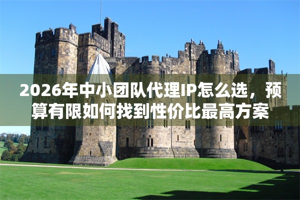 2026年中小团队代理IP怎么选，预算有限如何找到性价比最高方案
