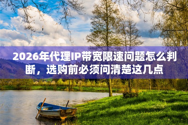 2026年代理IP带宽限速问题怎么判断，选购前必须问清楚这几点