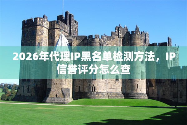 2026年代理IP黑名单检测方法，IP信誉评分怎么查