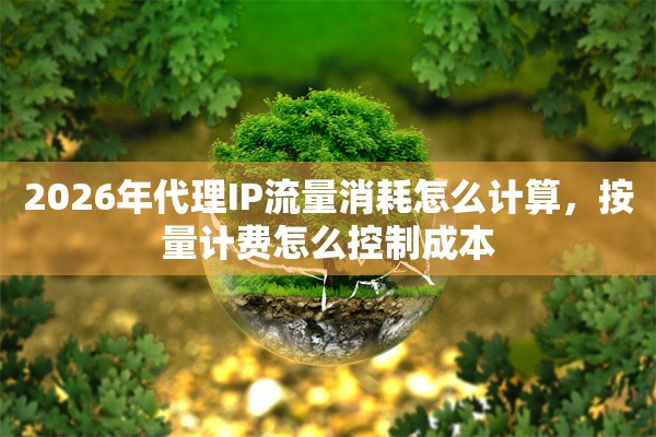 2026年代理IP流量消耗怎么计算，按量计费怎么控制成本