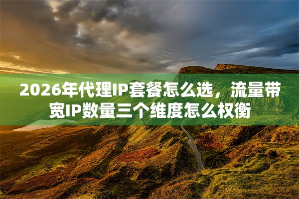 2026年代理IP套餐怎么选，流量带宽IP数量三个维度怎么权衡