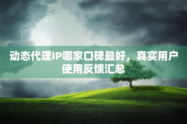 动态代理IP哪家口碑最好，真实用户使用反馈汇总