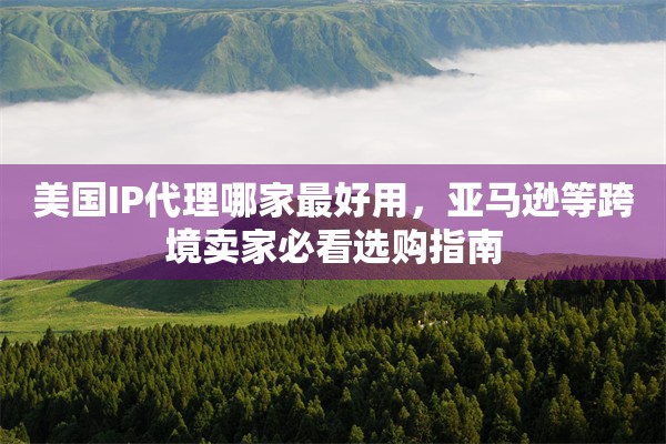美国IP代理哪家最好用,亚马逊等跨境卖家必看选购指南