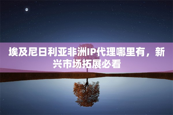 埃及尼日利亚非洲IP代理哪里有，新兴市场拓展必看