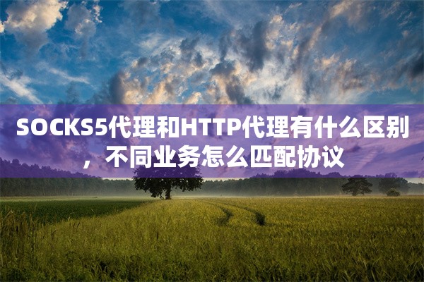SOCKS5代理和HTTP代理有什么区别，不同业务怎么匹配协议