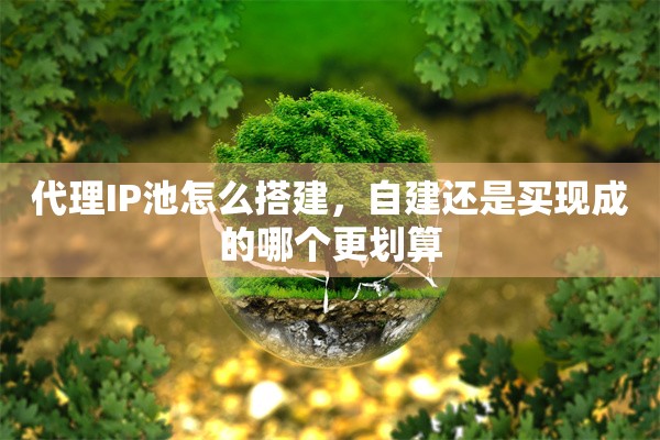 代理IP池怎么搭建，自建还是买现成的哪个更划算