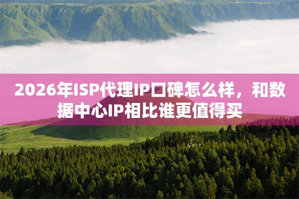 2026年ISP代理IP口碑怎么样,和数据中心IP相比谁更值得买