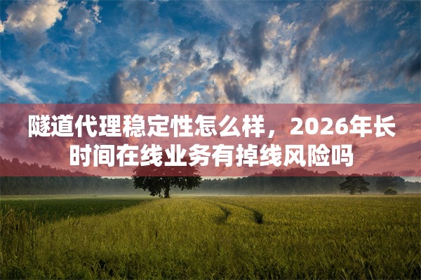 隧道代理稳定性怎么样,2026年长时间在线业务有掉线风险吗