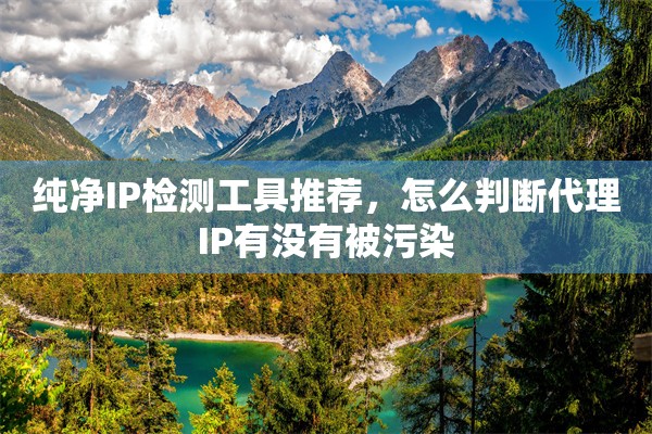 纯净IP检测工具推荐，怎么判断代理IP有没有被污染