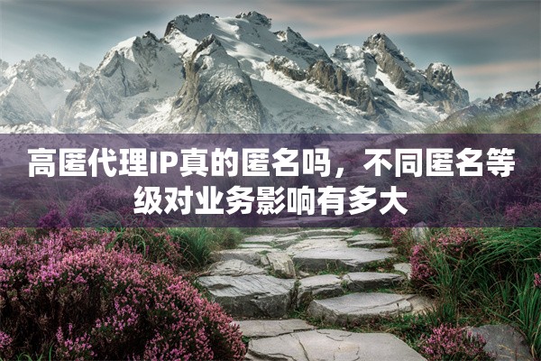 高匿代理IP真的匿名吗，不同匿名等级对业务影响有多大