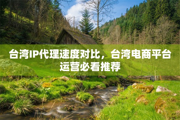 台湾IP代理速度对比，台湾电商平台运营必看推荐
