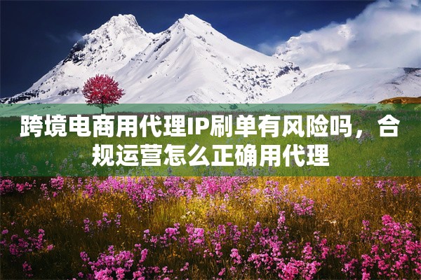 跨境电商用代理IP刷单有风险吗，合规运营怎么正确用代理